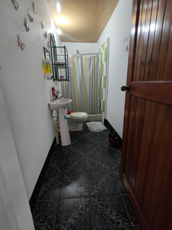Tortuguero Casa De Playa Green House Apartment Luaran gambar