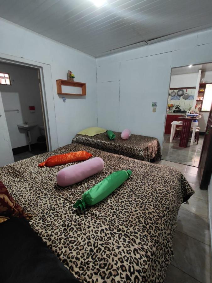 Tortuguero Casa De Playa Green House Apartment Luaran gambar