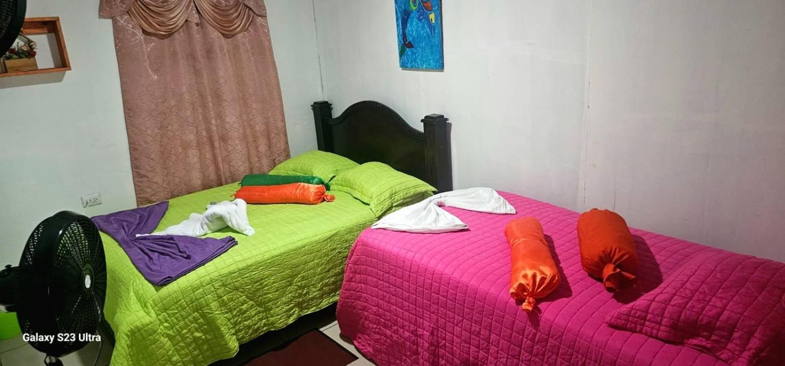 Tortuguero Casa De Playa Green House Apartment Luaran gambar