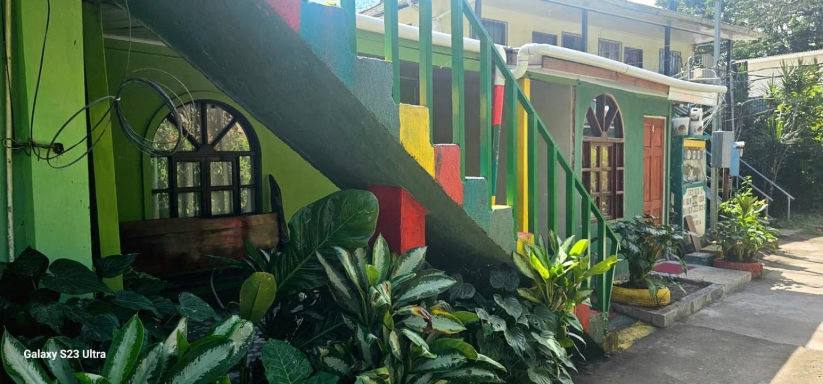 Tortuguero Casa De Playa Green House Apartment Luaran gambar