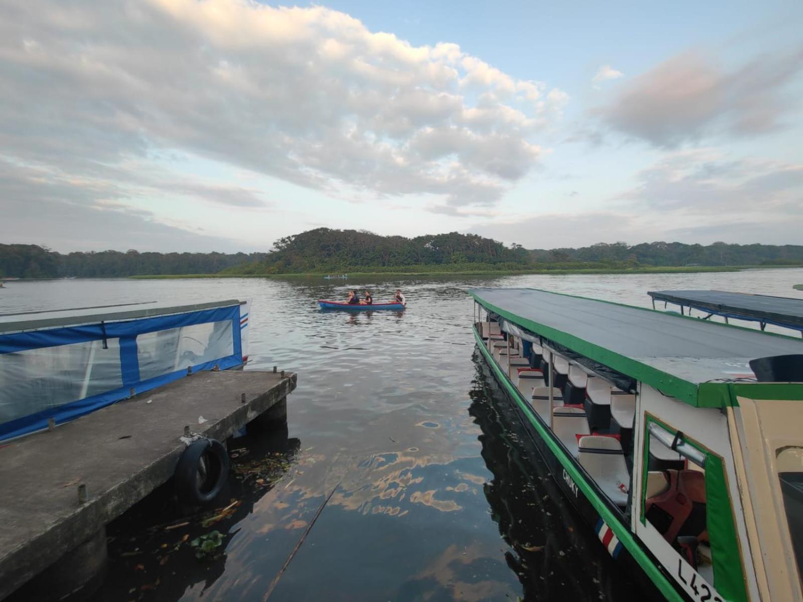 Tortuguero Casa De Playa Green House Apartment Luaran gambar