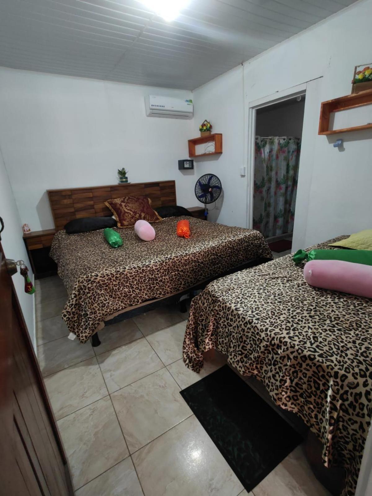 Tortuguero Casa De Playa Green House Apartment Luaran gambar